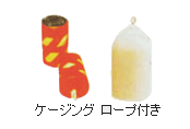 ケーシング